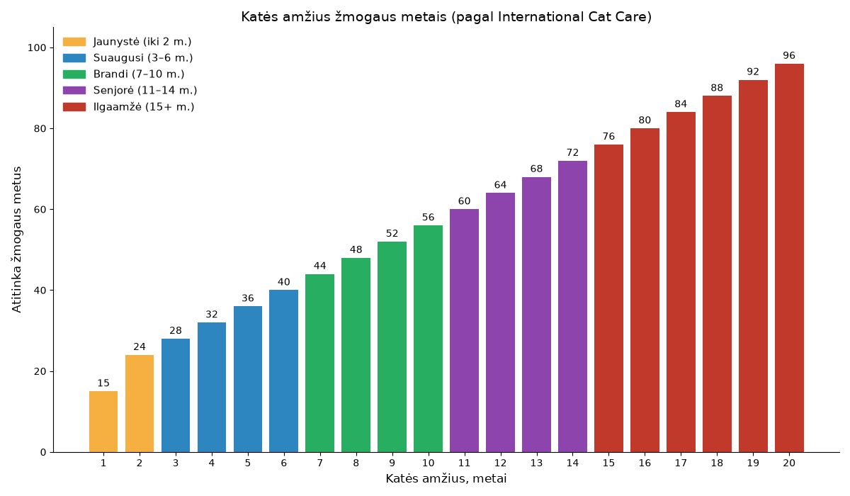 Stulpelinė diagrama: katės amžius nuo 1 iki 20 metų ir atitinkamas žmogaus amžius
