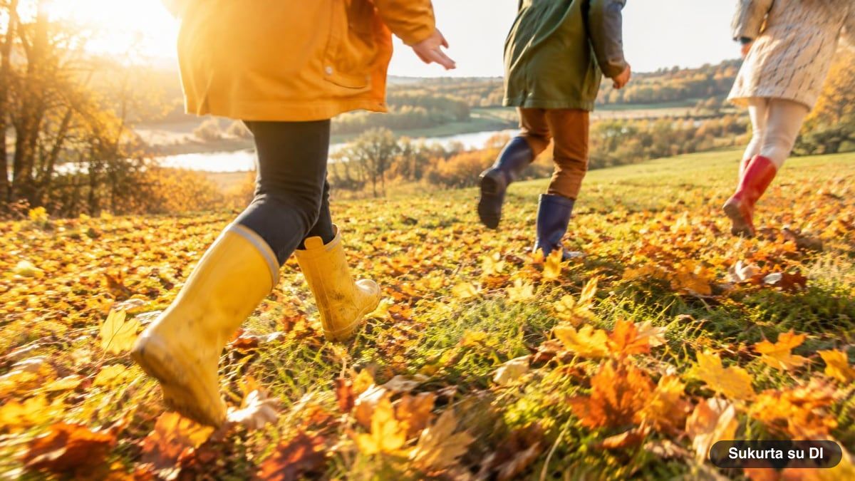 Vaikų kojos bėga per pievą rudens lapais