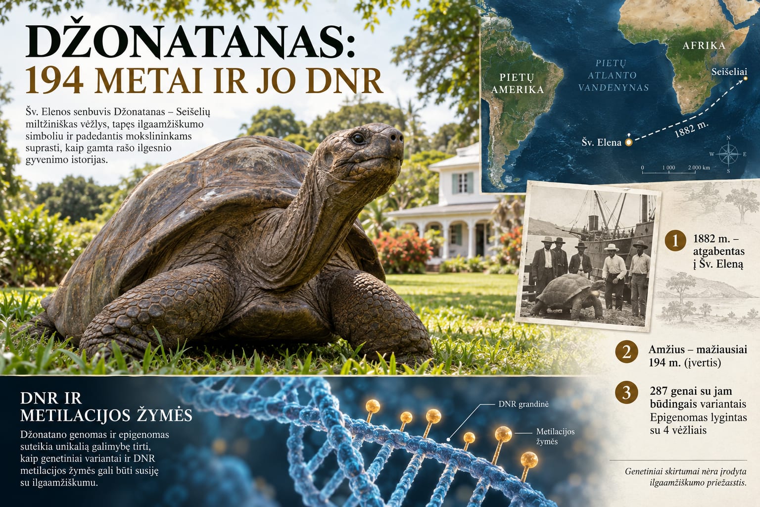 Šv. Elenos saloje gyvenantis milžiniškasis vėžlys Džonatanas