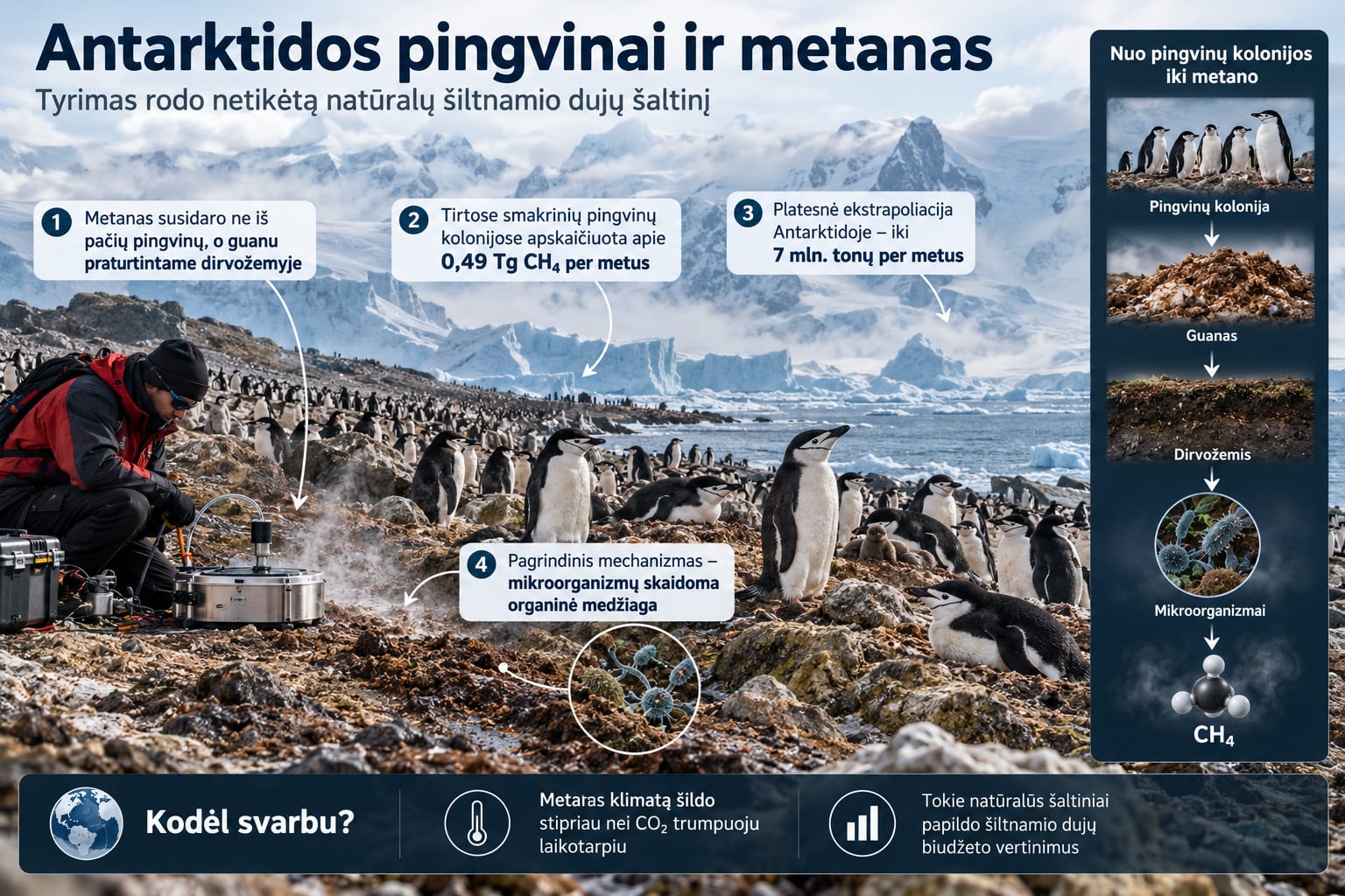 Antarktidos pingvinai ir metanas