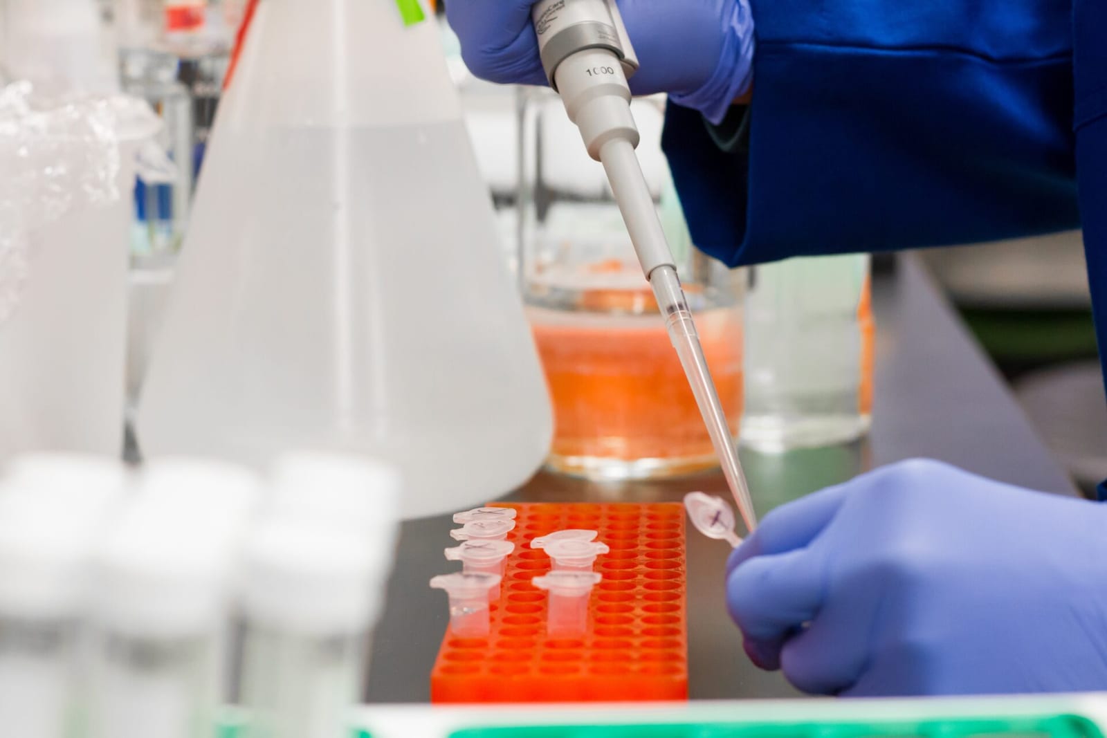 Laboratorija