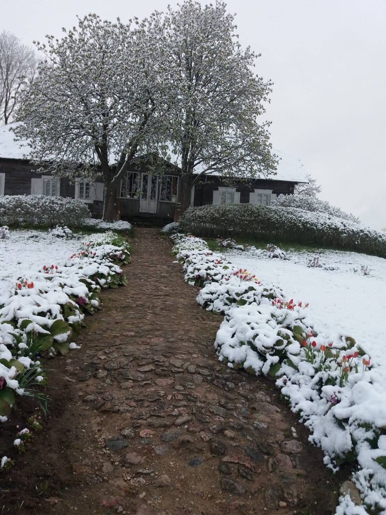 Muziejus žiemą