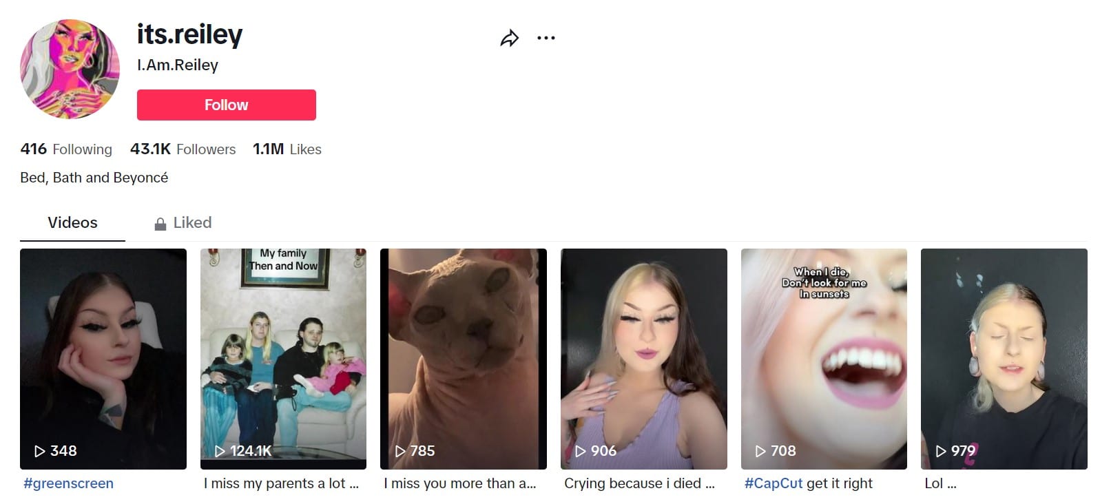 „TikTok“ paskyra