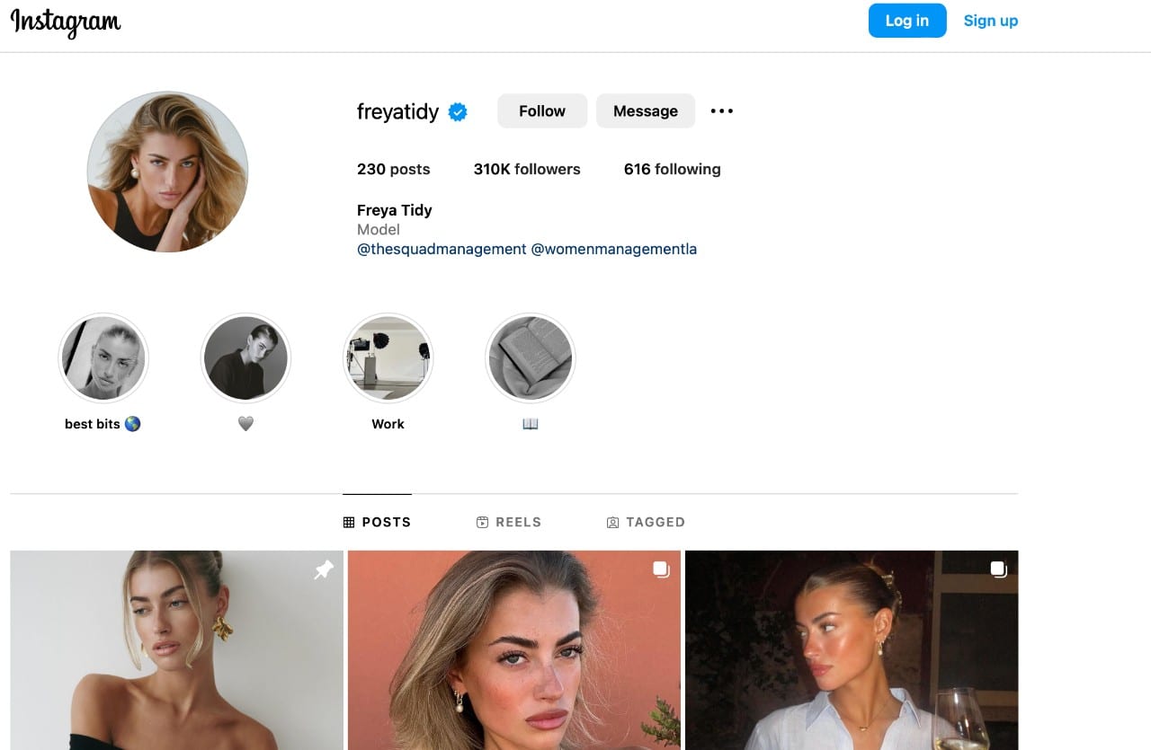 Instagramerė