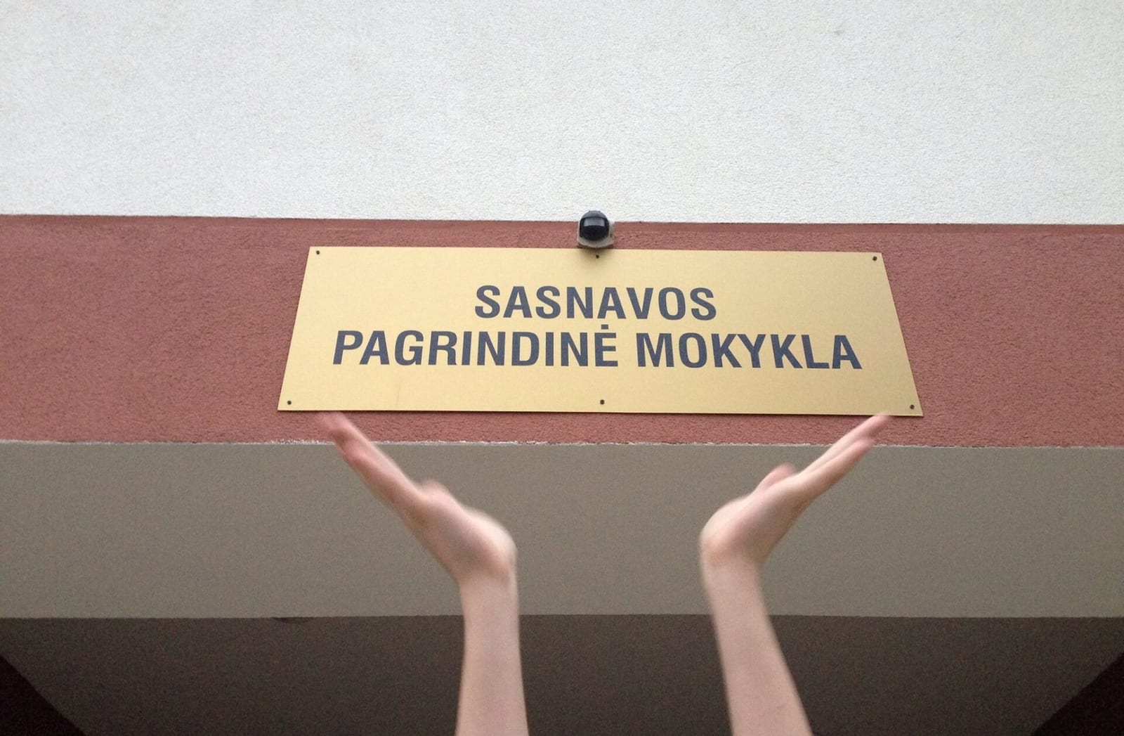Sasnavos mokykla