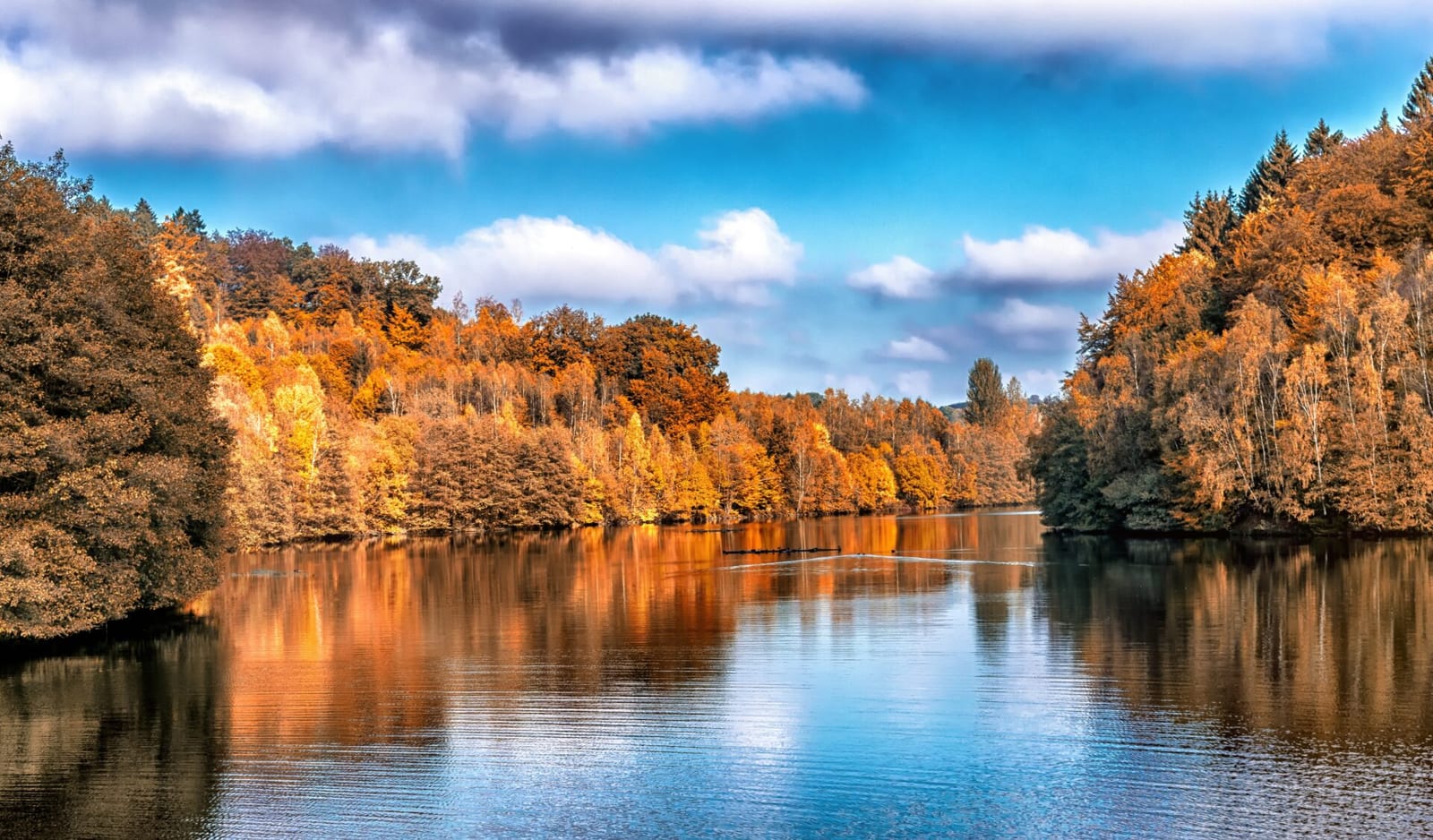 Rudens peizažas