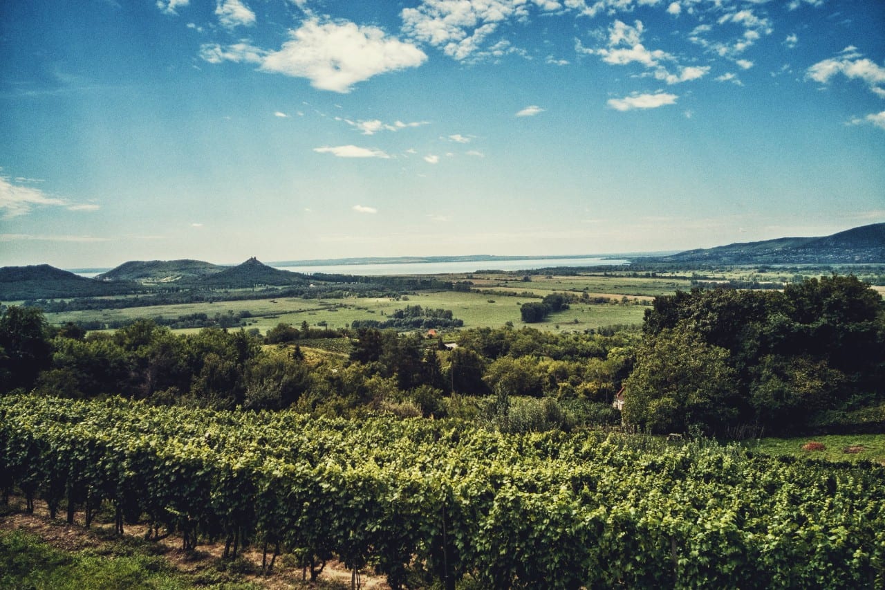 Balatonas