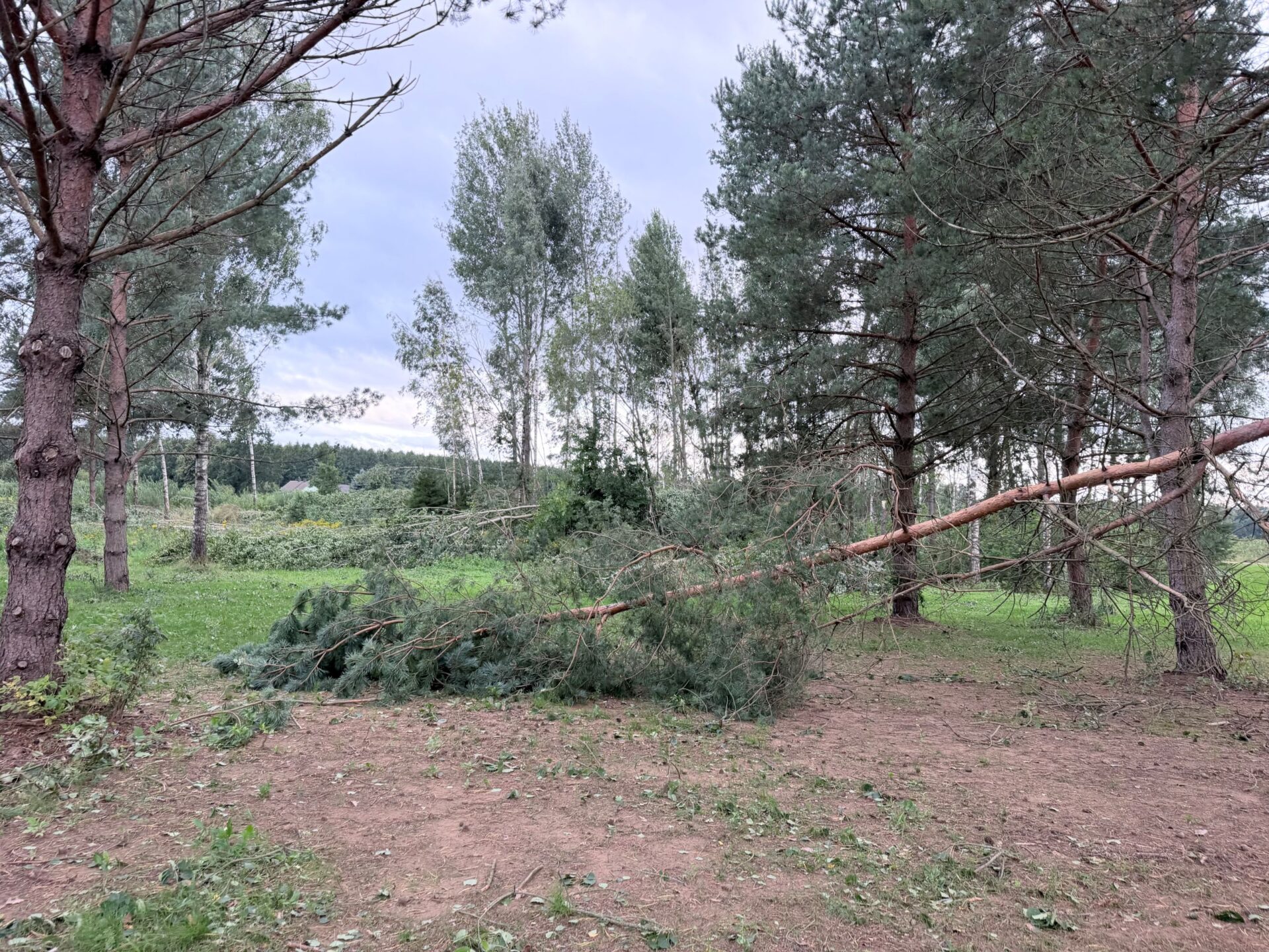 Audros paliko brangų pėdsaką: vidutinė žala jau viršija 1000 eurų