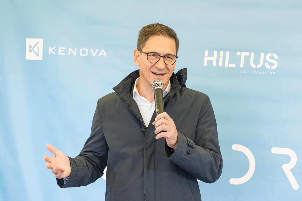 D. Kreivys