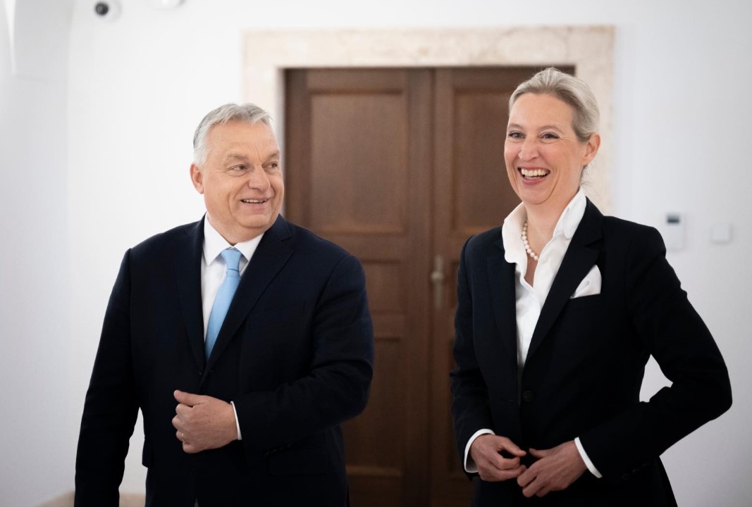 V. Orban ir A. Weidel