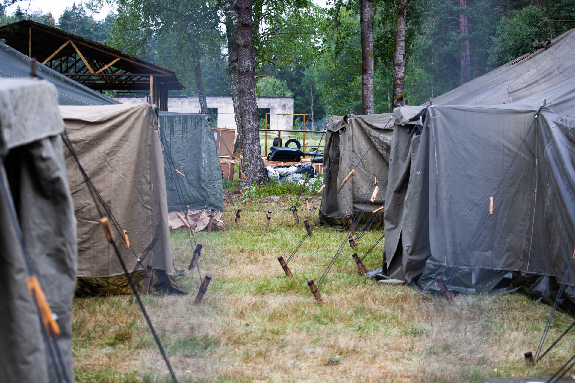 Neteisėtų migrantų apgyvendinimas