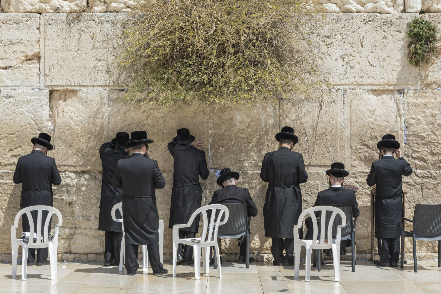 Izraelis