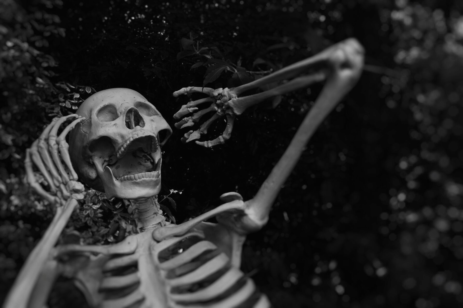 Skeletas